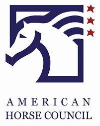 American Horse